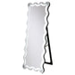 Brixey 24 x 63 Inch LED Lighting Standing Floor Mirror Black