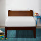 Artemisia - 10" Twin Memory Foam Mattress