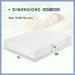 Artemisia - 12" Memory Foam Mattress